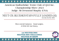 NEUT CH. BLUESKYSTAFS FULLY LOADED